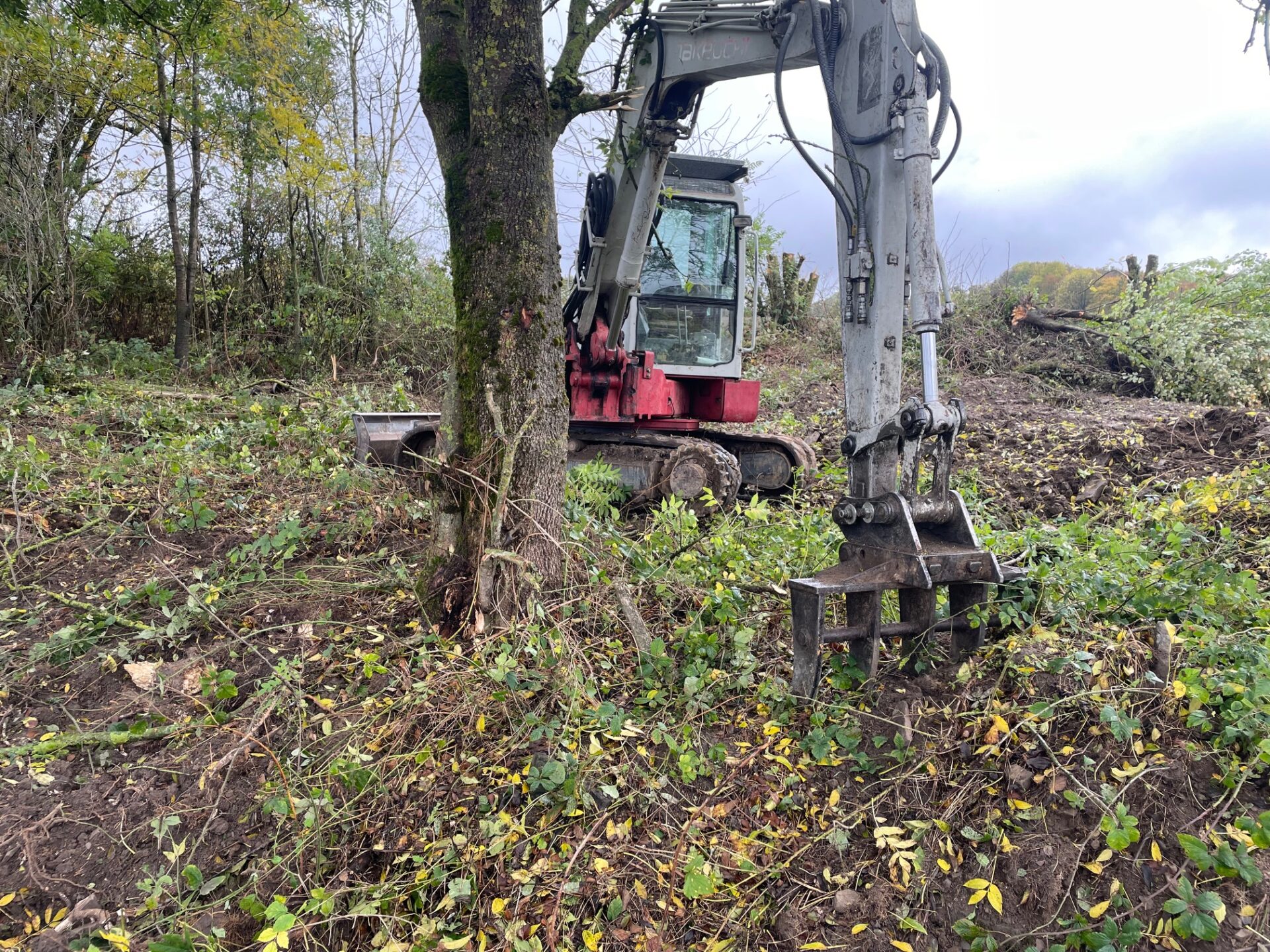 Einsatz in der Natur