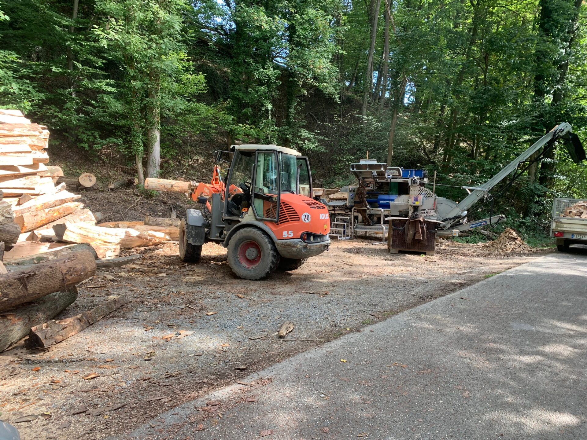Einsatz im Wald